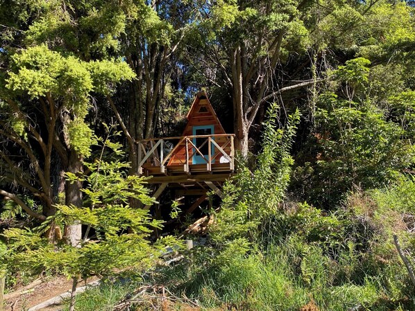 Exterior - Alpacas Off Grid - Treehouse & Hut (Upper Tākaka)