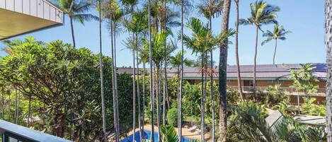 A resort with a pool surrounded by tall palm trees and a building with a green roof.