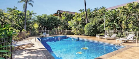 Una piscina rectangular con superficie de agua azul cristalina, rodeada por una plataforma de hormigón. Hay tumbonas y una valla metálica alrededor de la piscina.