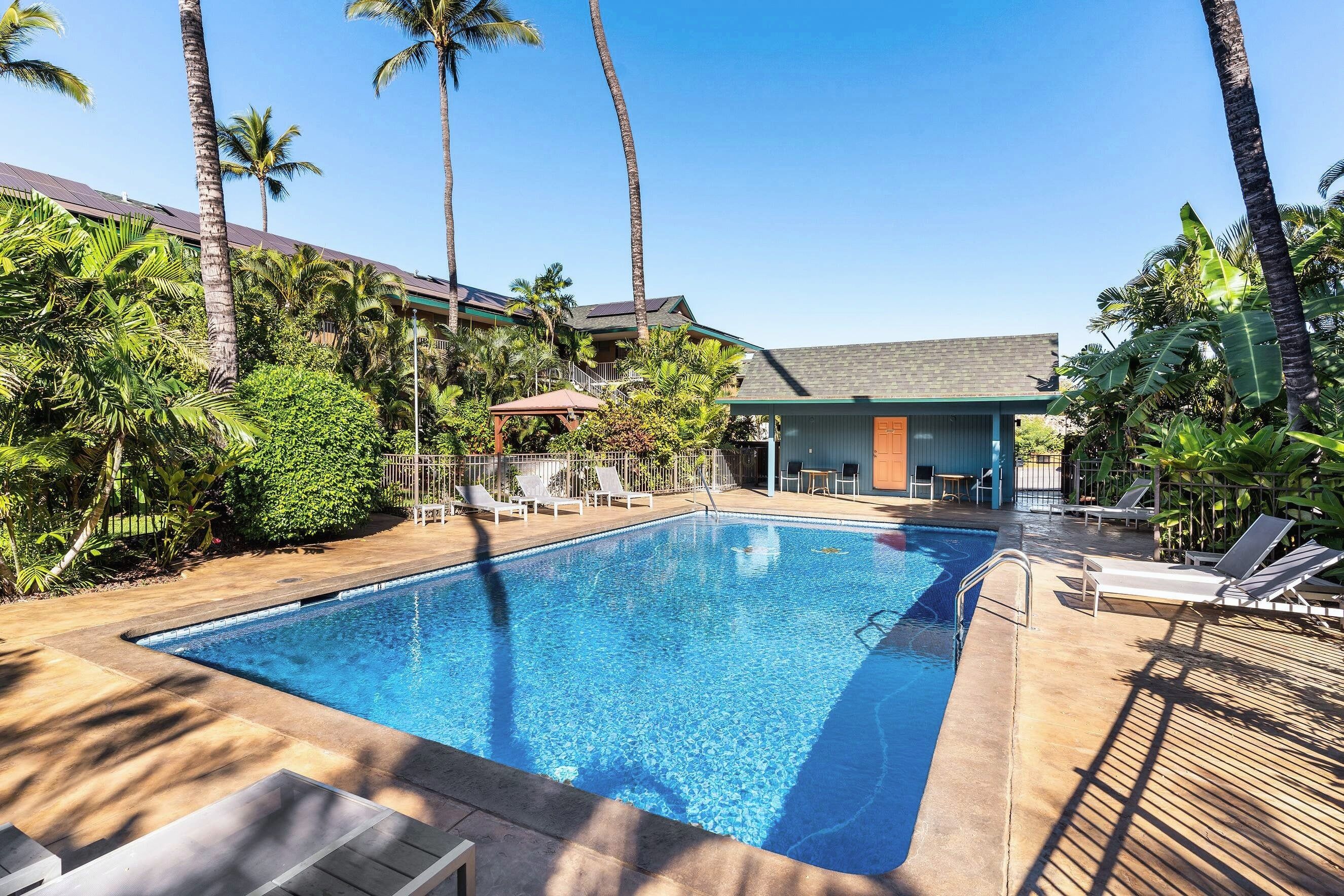 A swimming pool with lounge chairs and palm trees.