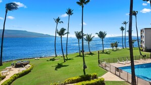 Zona de piscina con vista al océano, rodeada de palmeras y un césped cuidado.