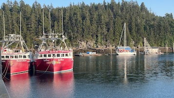 En lysthavn med flere både i havnen, en skovklædt bakke i baggrunden og stille vand.