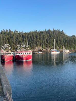 En lysthavn med flere både i havnen, en skovklædt bakke i baggrunden og stille vand.