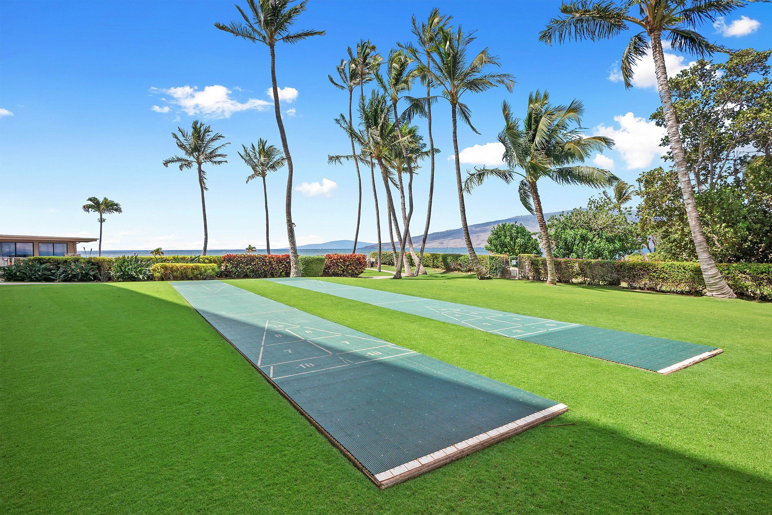 A well-maintained lawn with two shuffleboard courts, surrounded by tall palm trees and a clear blue sky.