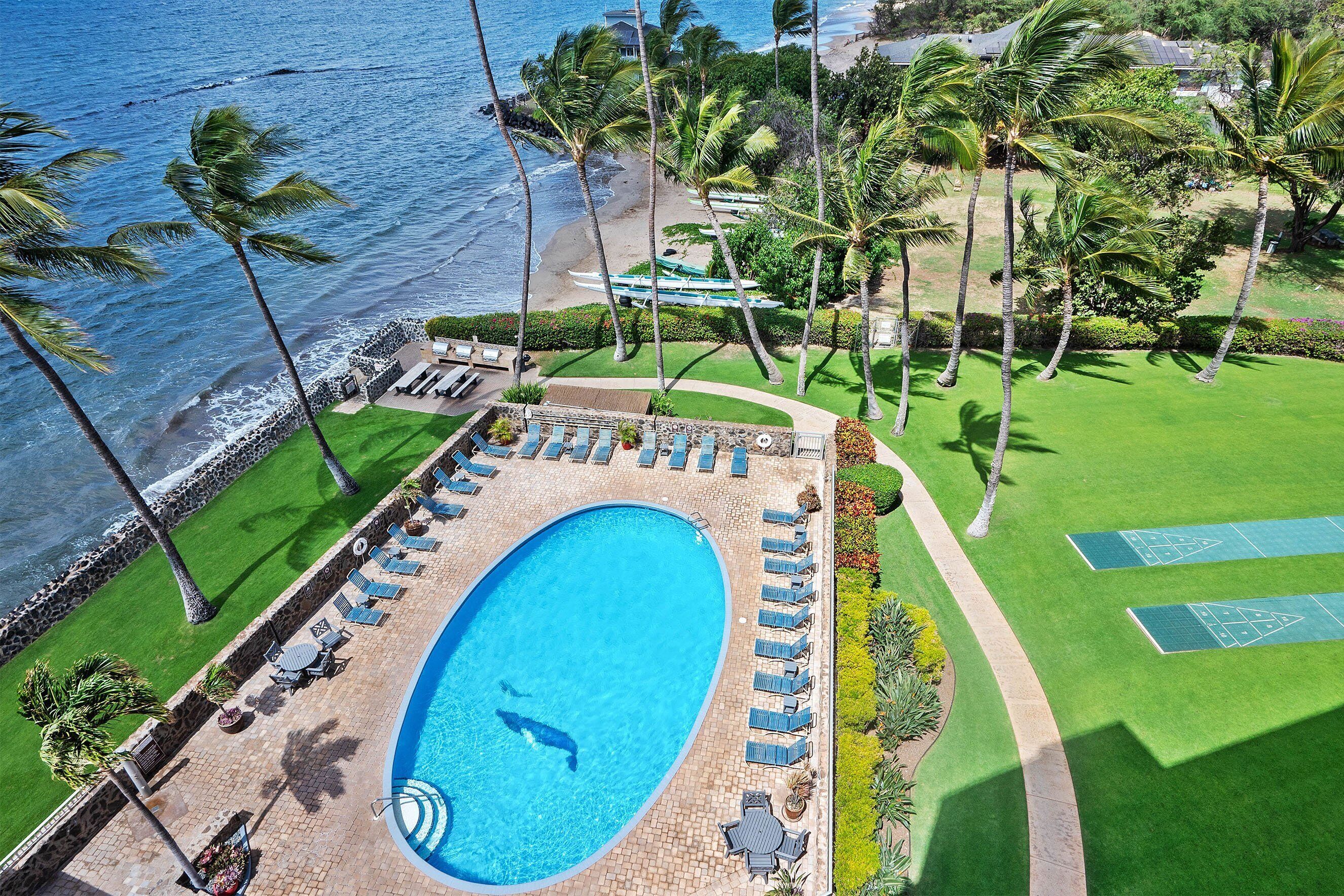 Vista aérea de un resort con piscina, sillas de descanso y una playa.