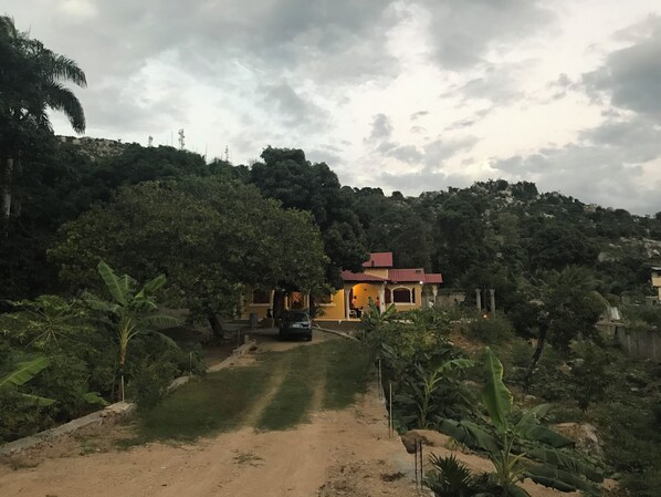 A rural house with a dirt path leading to it, surrounded by lush greenery and trees.