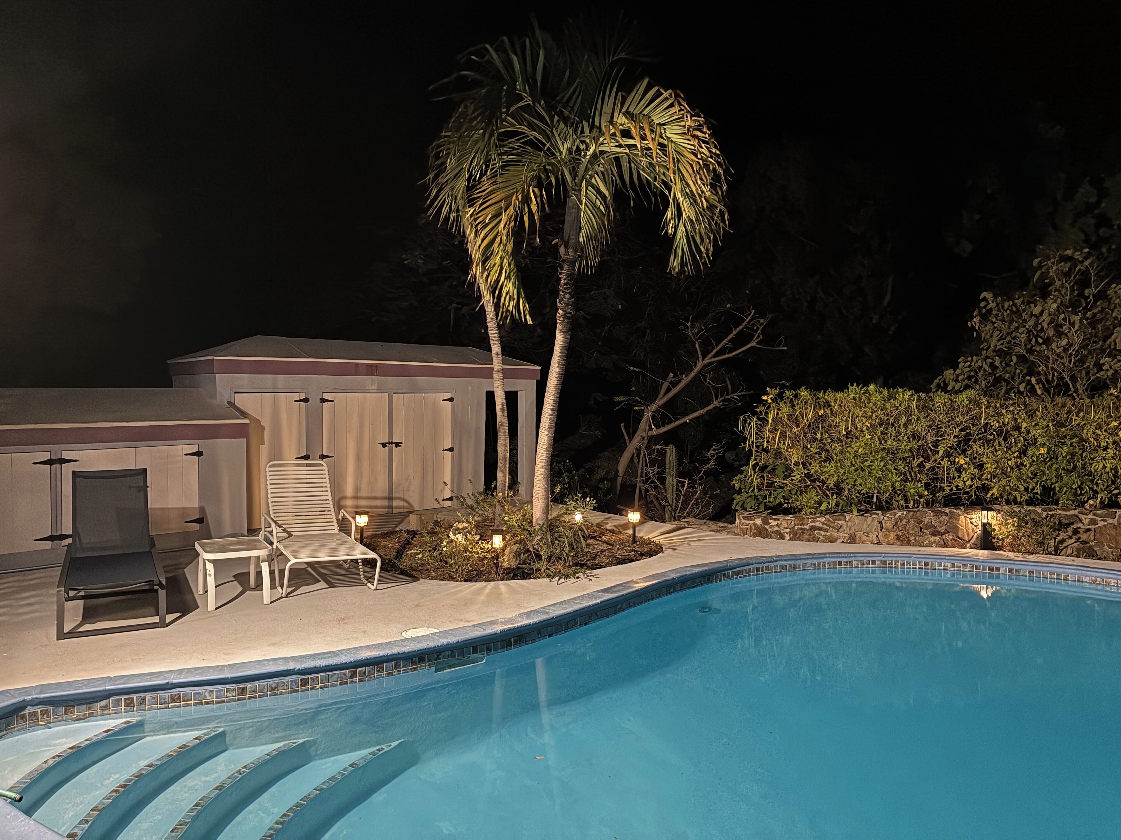 A swimming pool with lounge chairs and a palm tree, surrounded by a building with a covered patio area.