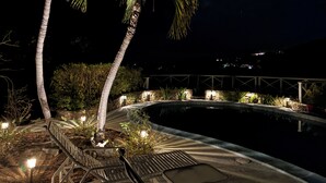 Un espace piscine aménagé pour la nuit, avec deux palmiers, un mur en pierre et une rambarde en métal.