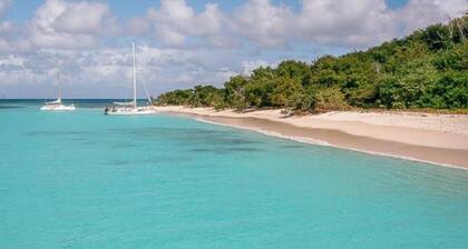 St Somewhere - Escape to Paradise: Breathtaking Buck Island View & Private Pool