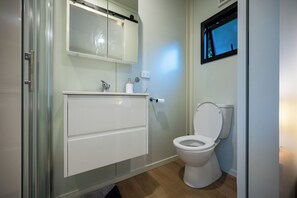 A bathroom with a glass shower enclosure, a white toilet, and a mirror above the sink.