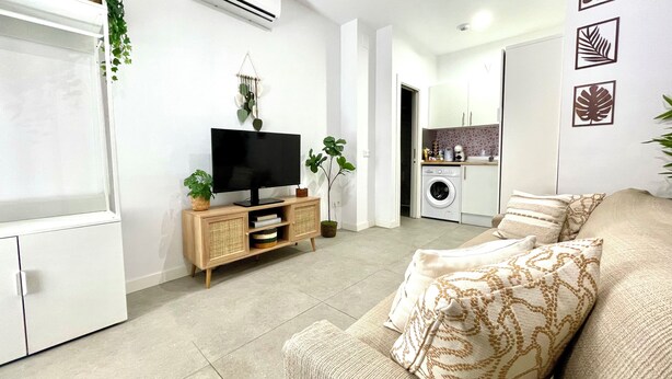 Ein gemütlicher, kleiner Wohnbereich mit Sofa, Fernseher auf Holzfuß, Waschmaschine und einer kleinen Küche.