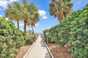 A wooden pathway leading to a beach, flanked by lush greenery and palm trees. - Newly Renovated Luxury Oceanfront 15th‑Floor Condo Only Steps from Beach (Myrtle Beach)