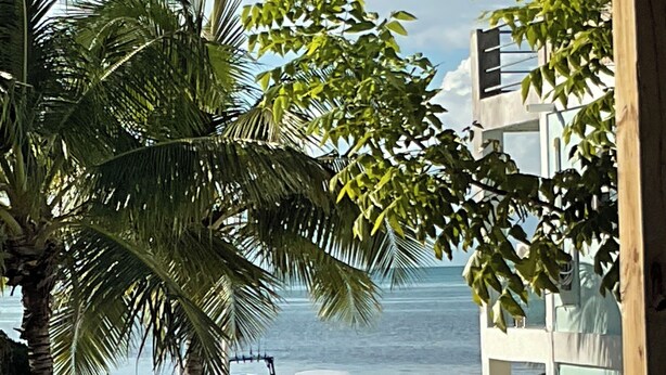 A beachside view with a wooden deck, palm trees, and a building with a staircase. - Hidden Treasure Vacation Home (Caye Caulker)