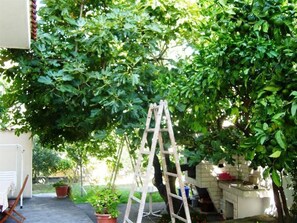 Property grounds - Große Wohnung in Podstrana mit Grill und Terrasse by Interhome (Podstrana)