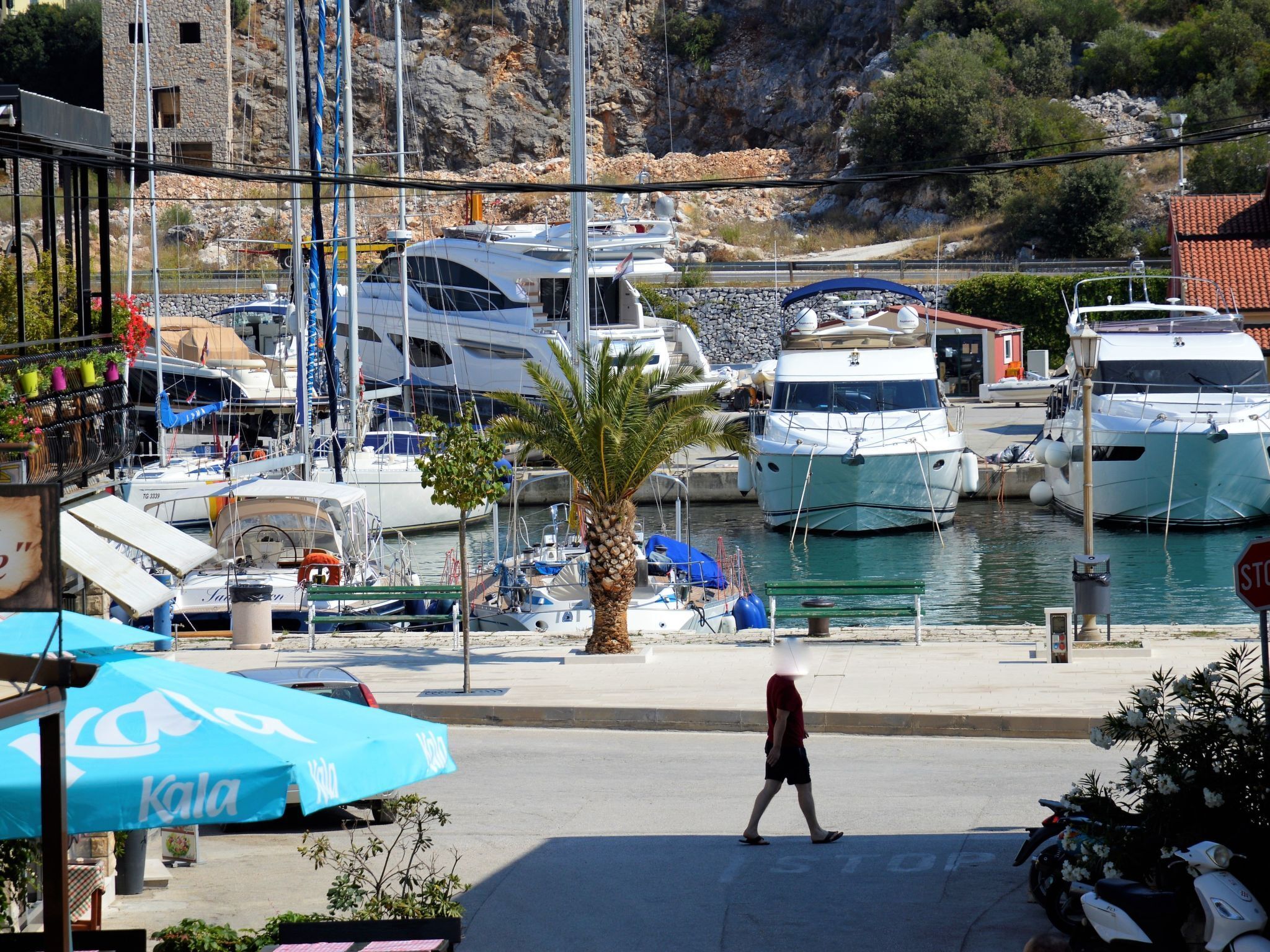 A marina with boats docked, a palm tree, and a person walking.