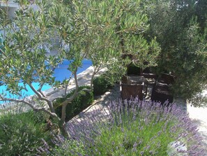Zwembad
