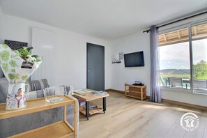 Televisio, DVD-soitin, kirjoja