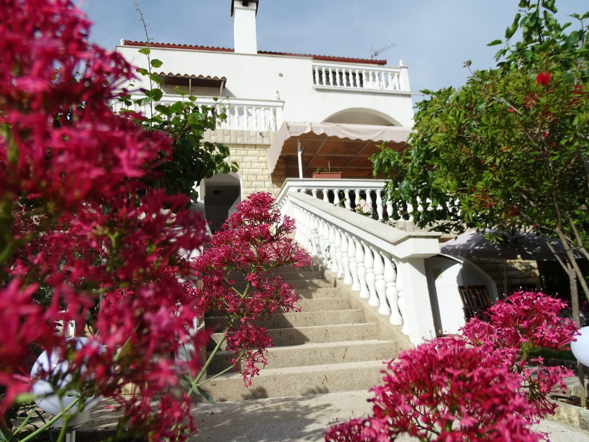 Overnattingsstedets uteområder