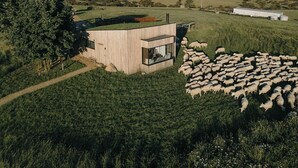 Una casa moderna con techo verde, rodeada por un campo cubierto de hierba y un rebaño de ovejas.