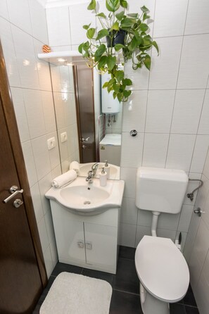 Bathroom / Wellness - mit Garten, Grill und Terrasse by Interhome (Opatija/Rukavac)