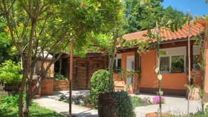 A rustic house with a tiled roof, surrounded by lush greenery and potted plants.
