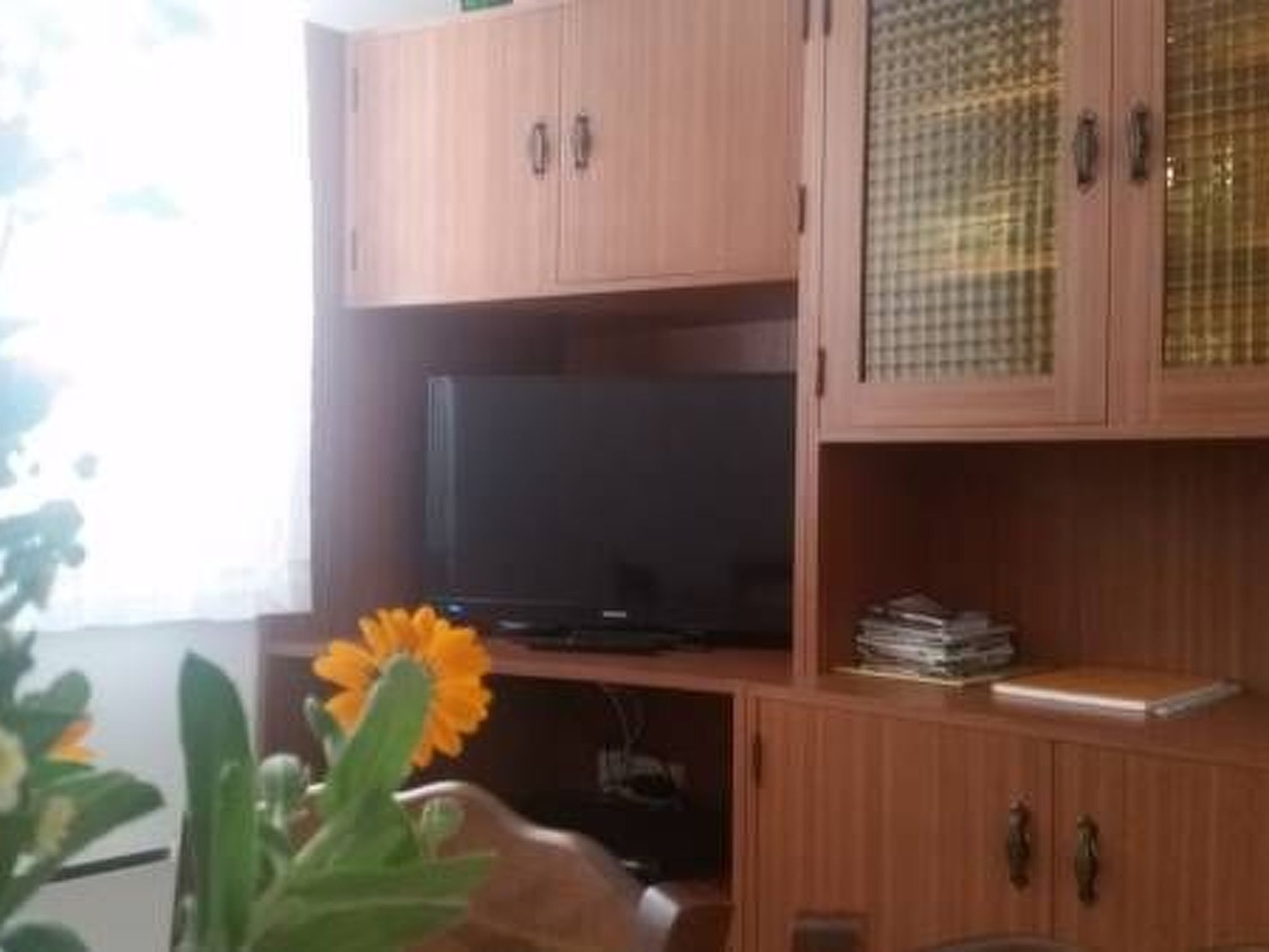 Puisesta kaapista, jonka päällä on televisio, lasiovellisesta kaapista ja keltaisin kukin varustetusta kasvista.