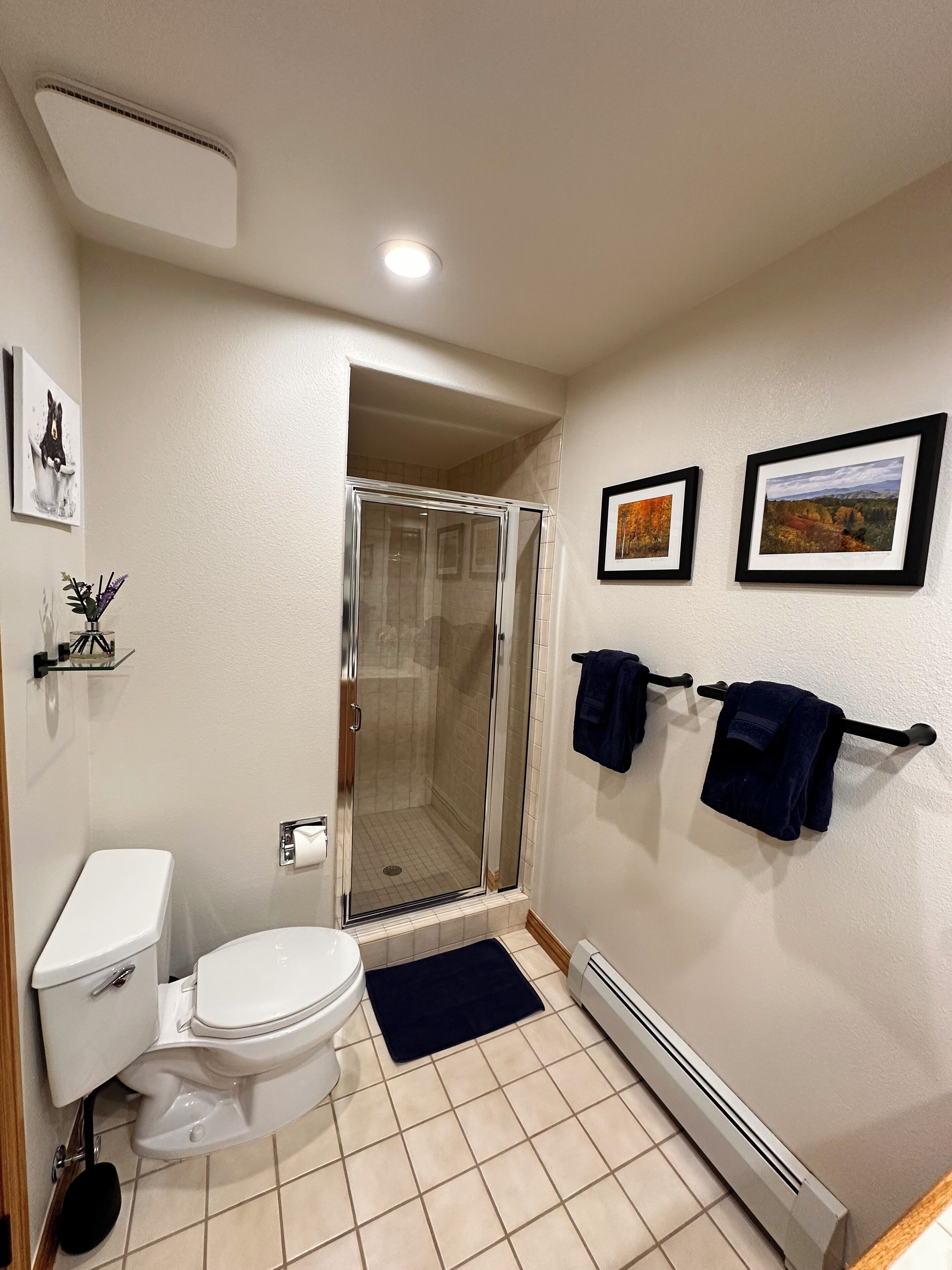 Une salle de bain moderne avec des toilettes, une douche et deux tableaux encadrés accrochés au mur.