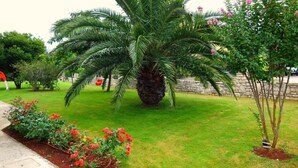 Een tuin met een palmboom, bloeiende planten en een stenen muur.