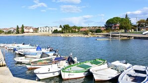 Una marina con diverse imbarcazioni ormeggiate, cielo sereno e edifici sullo sfondo.
