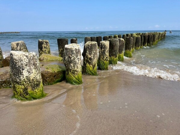 Beach - Wohnung mit Blick auf das Wasser by Interhome (Sarbinowo)