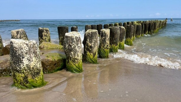 A coastal scene with a row of weathered stone posts, some covered in green algae, leading to a breakwater extending into the sea. - "Dom4" mit Wasserblick by Interhome (Sarbinowo)