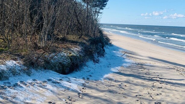 A sandy beach with footprints, a clear sky, and leafless trees. - Ferienanlage Belona/A1 by Interhome (Niechorze)