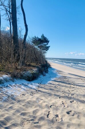 A sandy beach with footprints, a clear sky, and leafless trees. - Appartement mit einem Wohn-,Ess- und Schlafraum und kleiner Terrasse für vier P by Interhome (Niechorze)