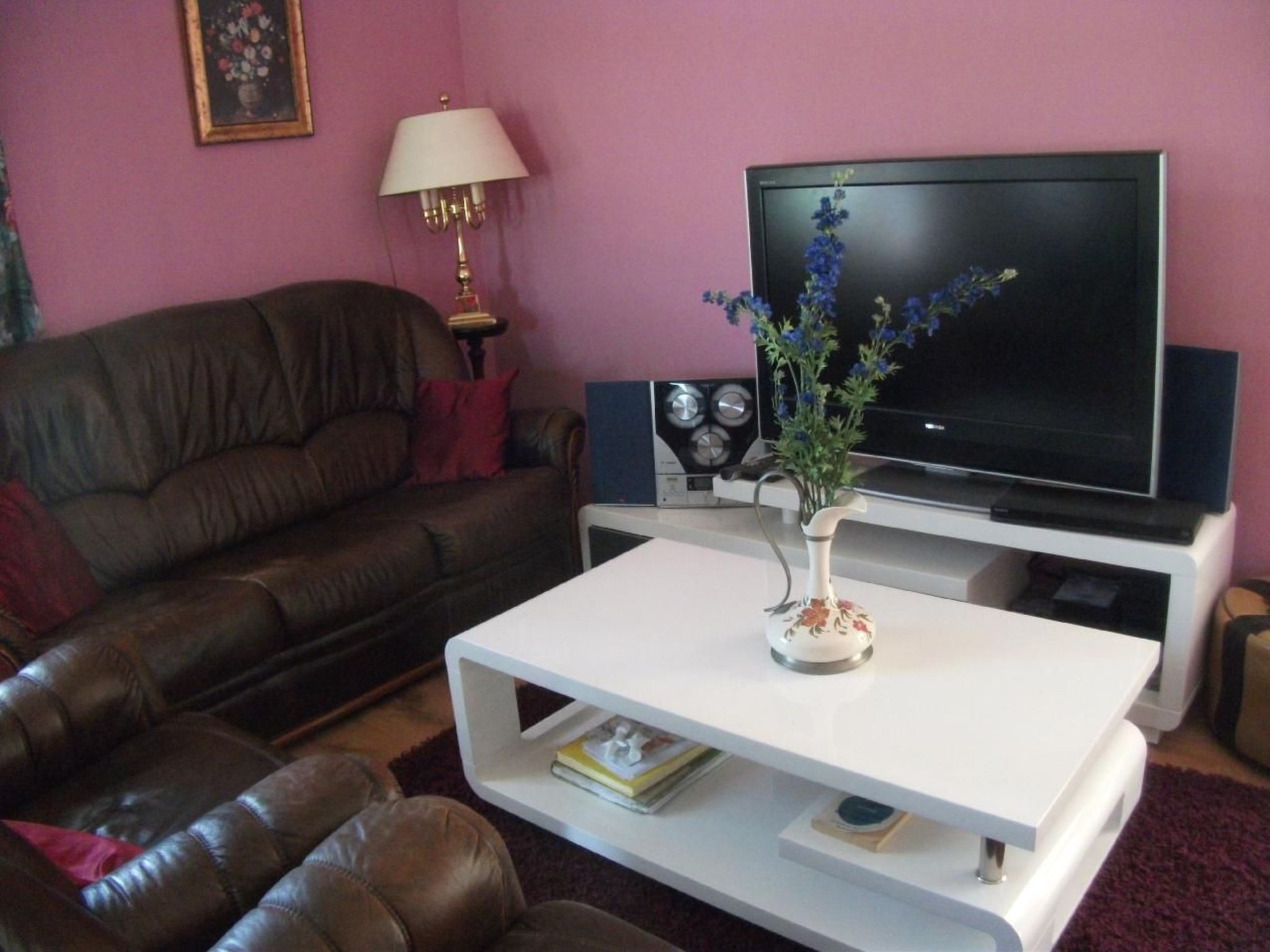 電視、DVD 播放機