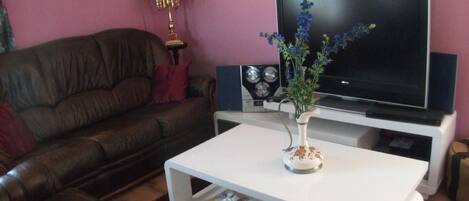 電視、DVD 播放機