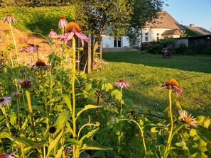 Overnatningsstedets område