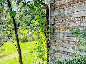Una construcción rústica de madera con un tubo de metal, rodeada de follaje y un césped.