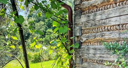 unter der Linde by Interhome