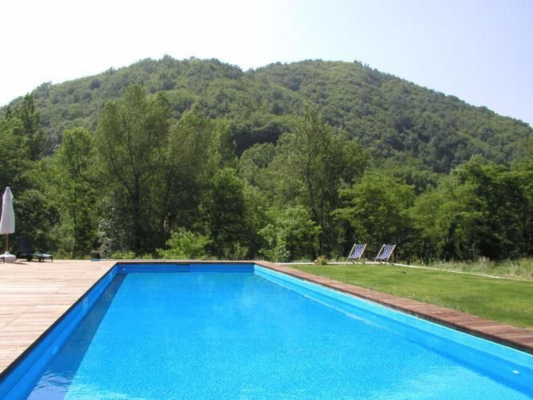 Uima-allas