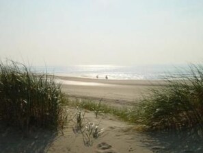 En sti af sand der fører ned til havet, med sparsom vegetation på begge sider.