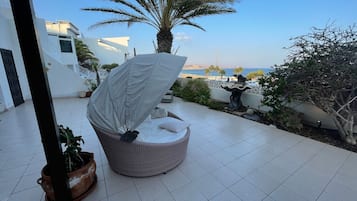 Terras