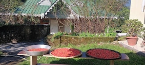 A garden with a stone wall, a metal bowl, and a wooden table with a basket of red fruits.