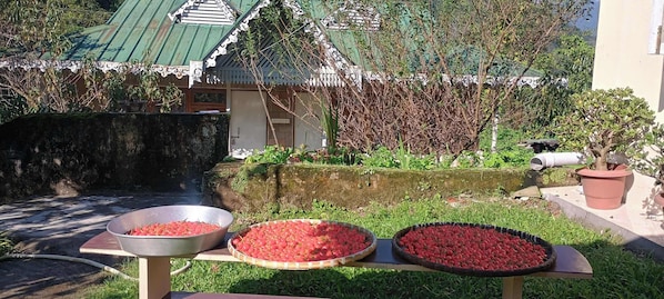 Un jardín con un muro de piedra, un cuenco de metal y una mesa de madera con una cesta de frutas rojas.