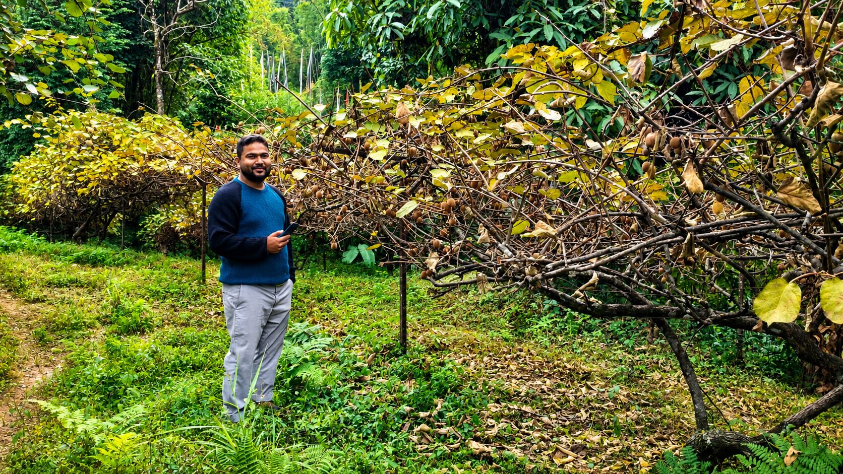 A person standing in a garden with a variety of plants and trees.