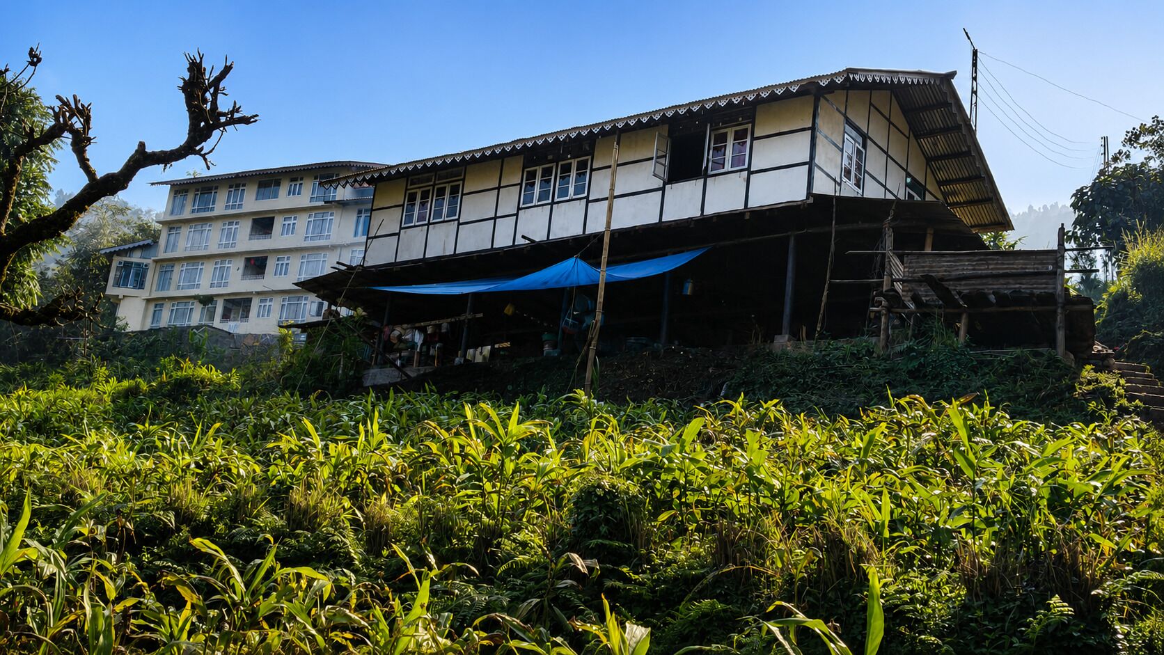 Un edificio de varios pisos con techo plano y toldo azul, rodeado de abundante vegetación.