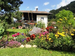 Property grounds - Phlox in Millstatt by Interhome (Millstadt)