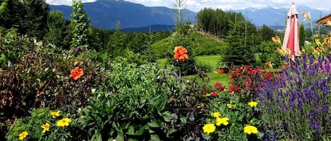 Terrain de lâhĂ©bergement