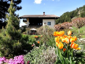 Exterior - Cosmea in Millstatt by Interhome (Millstadt)