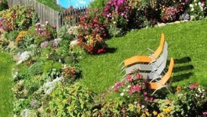 Un jardin avec une piscine, différentes sortes de fleurs et une clôture en bois.
