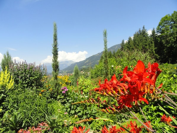 Property grounds - Salvia in Millstatt by Interhome (Millstadt)